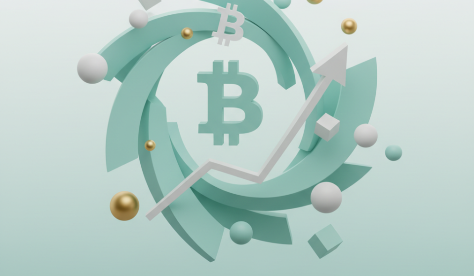 Bitcoin price chart showing 500-day cycle pattern with optimal buying windows before 2028 halving event